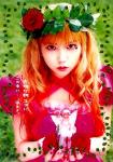 Little Doll's Diary